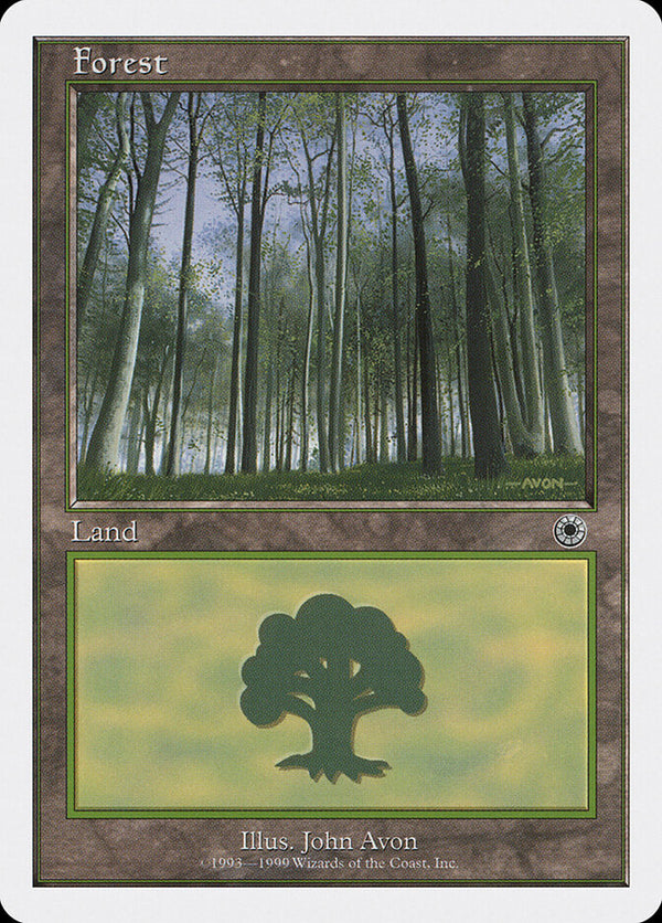 Forest (104) - Magic: The Gathering