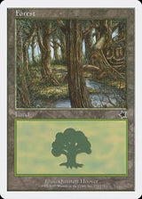Forest (171) - Magic: The Gathering