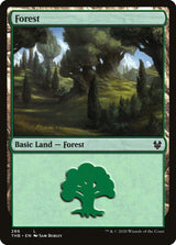 Forest (286) - Magic: The Gathering