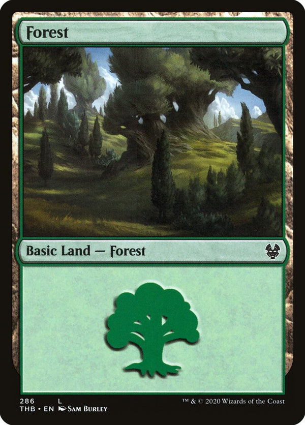Forest (286) - Magic: The Gathering