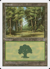 Forest (179) - Magic: The Gathering