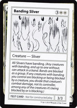 Banding Sliver (No PW Symbol) - Magic: The Gathering