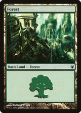 Forest (90) - Magic: The Gathering