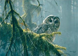 Cobble Hill Mossy Branches Spotted Owl - 500 Piece Puzzle - My Store