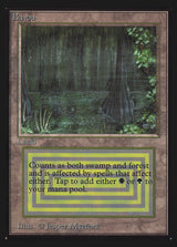 Bayou (IE) - Magic: The Gathering