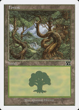 Forest (347) - Magic: The Gathering