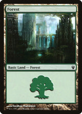 Forest (87) - Magic: The Gathering