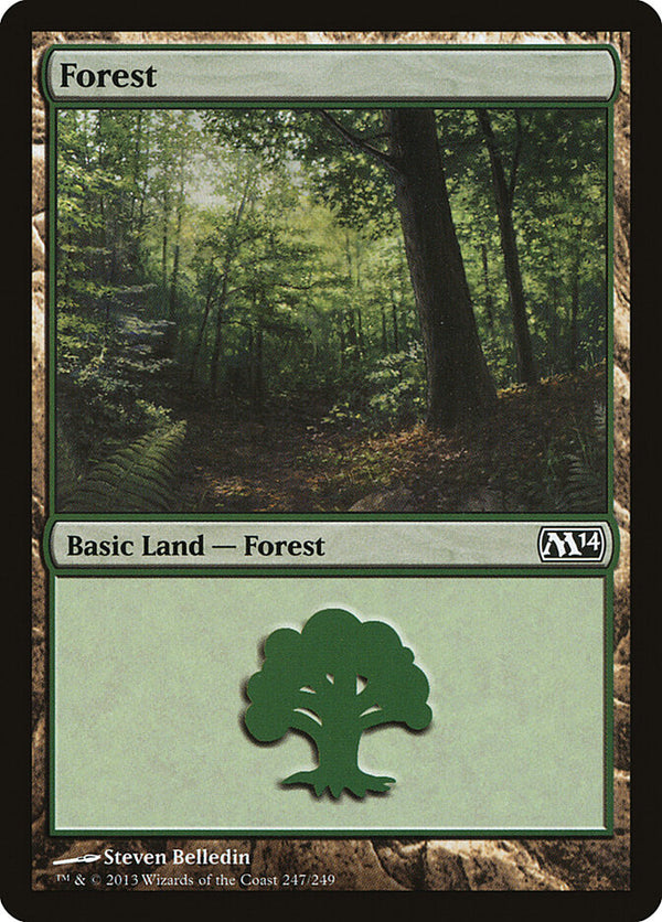 Forest (247) - Magic: The Gathering