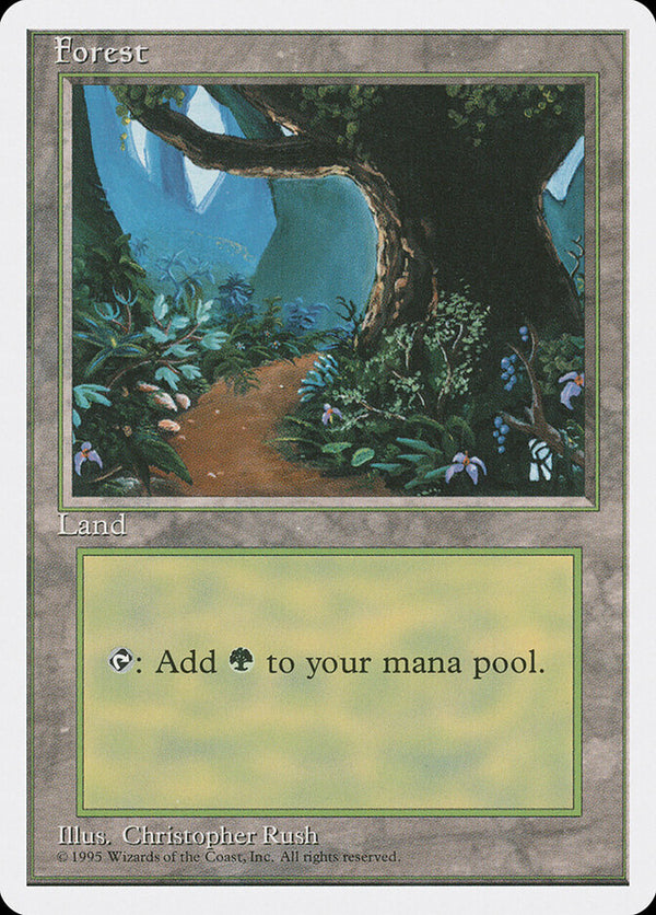 Forest (B) - Magic: The Gathering