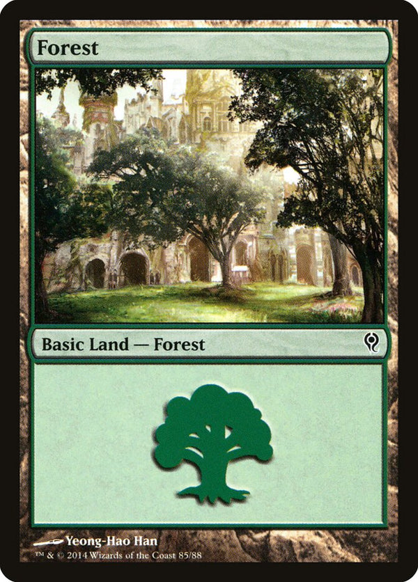 Forest (85) - Magic: The Gathering