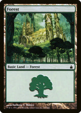 Forest (305) - Magic: The Gathering