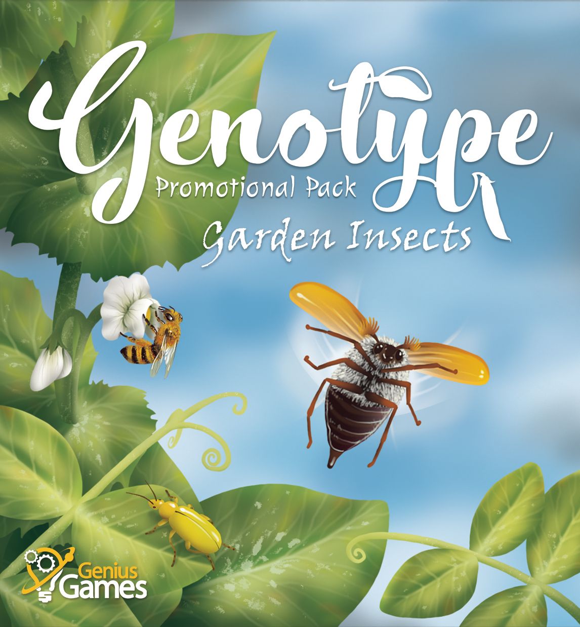 Genotype: Garden Insects